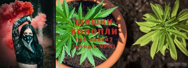 ALPHA PVP Приозерск