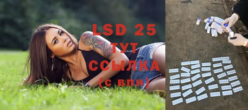 Лсд 25 экстази ecstasy  дарнет шоп  Усть-Лабинск 