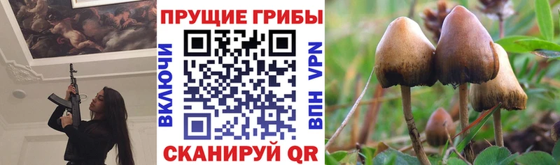 Псилоцибиновые грибы Magic Shrooms  закладки  МЕГА зеркало  Усть-Лабинск 